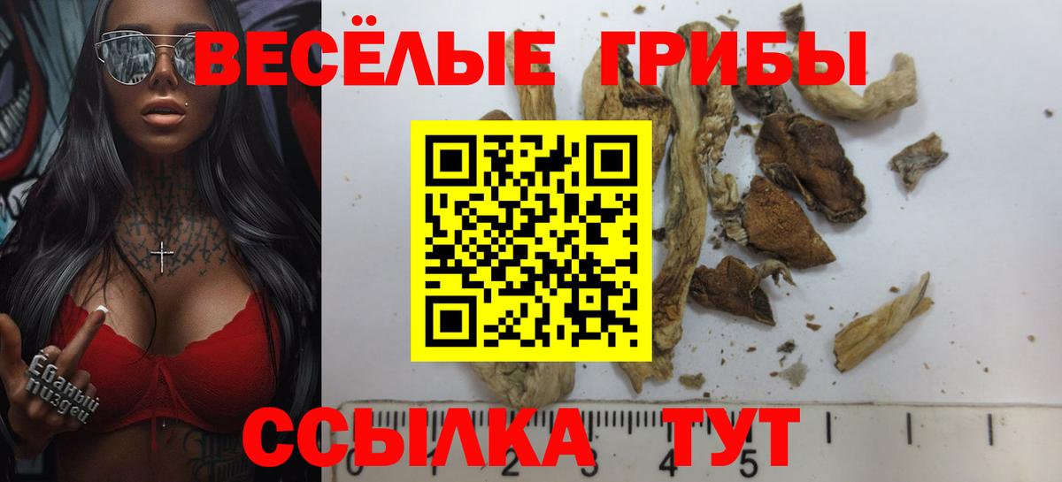 Белорецк  Галлюциногенные грибы мицелий  Вход с VPN 